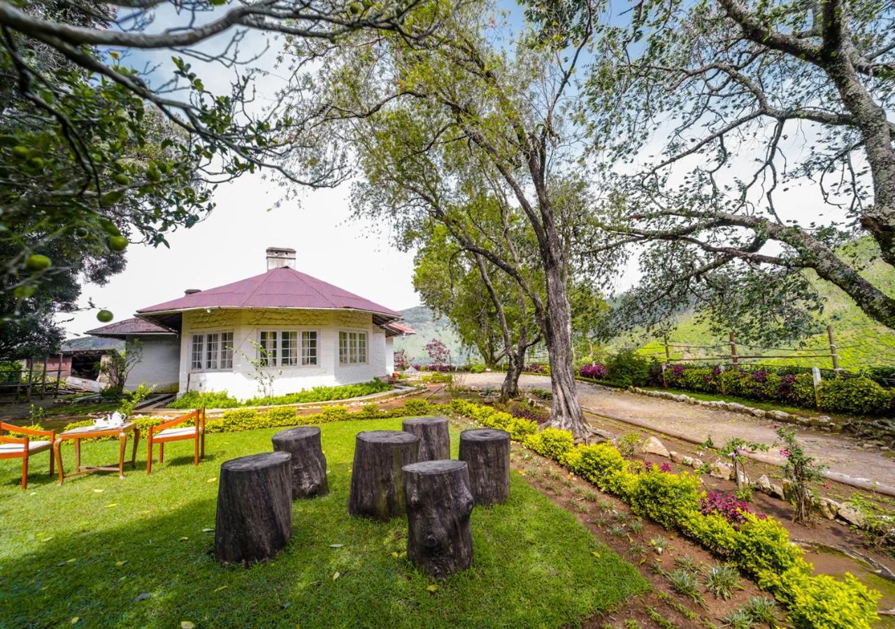 Arivikad Tea Bungalow Munnar By Voye Homes Suryanelli Buitenkant foto