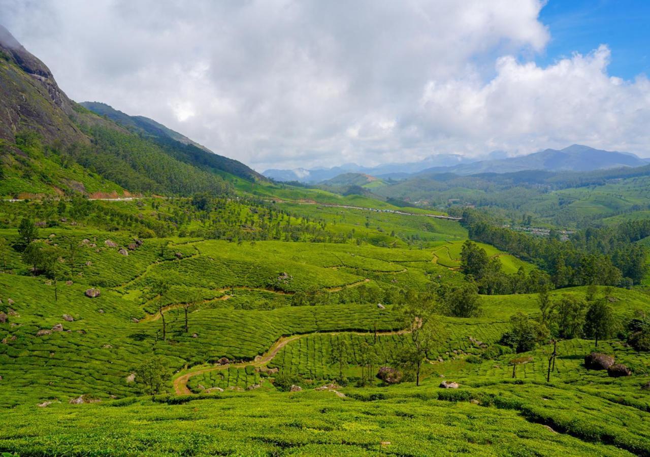 Arivikad Tea Bungalow Munnar By Voye Homes Suryanelli Buitenkant foto