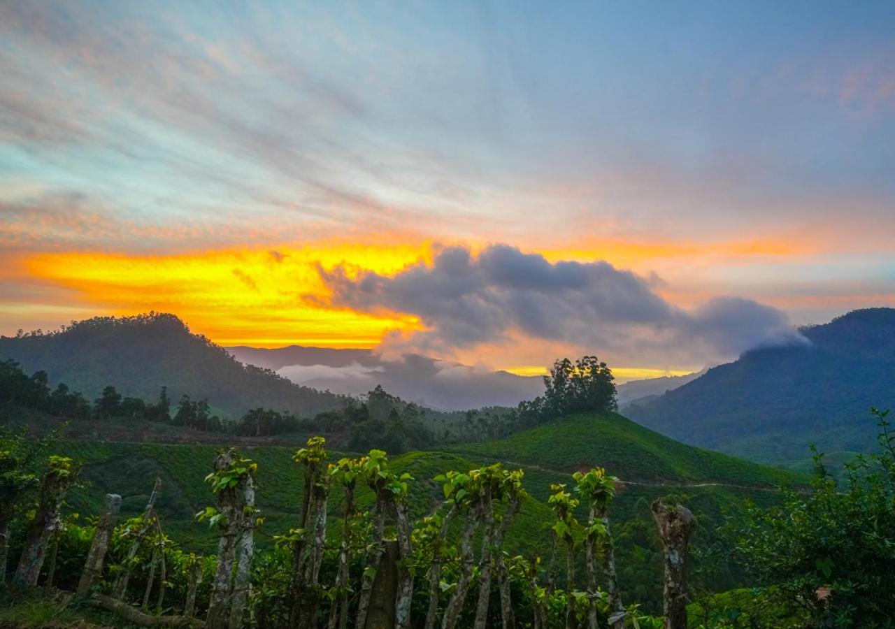 Arivikad Tea Bungalow Munnar By Voye Homes Suryanelli Buitenkant foto