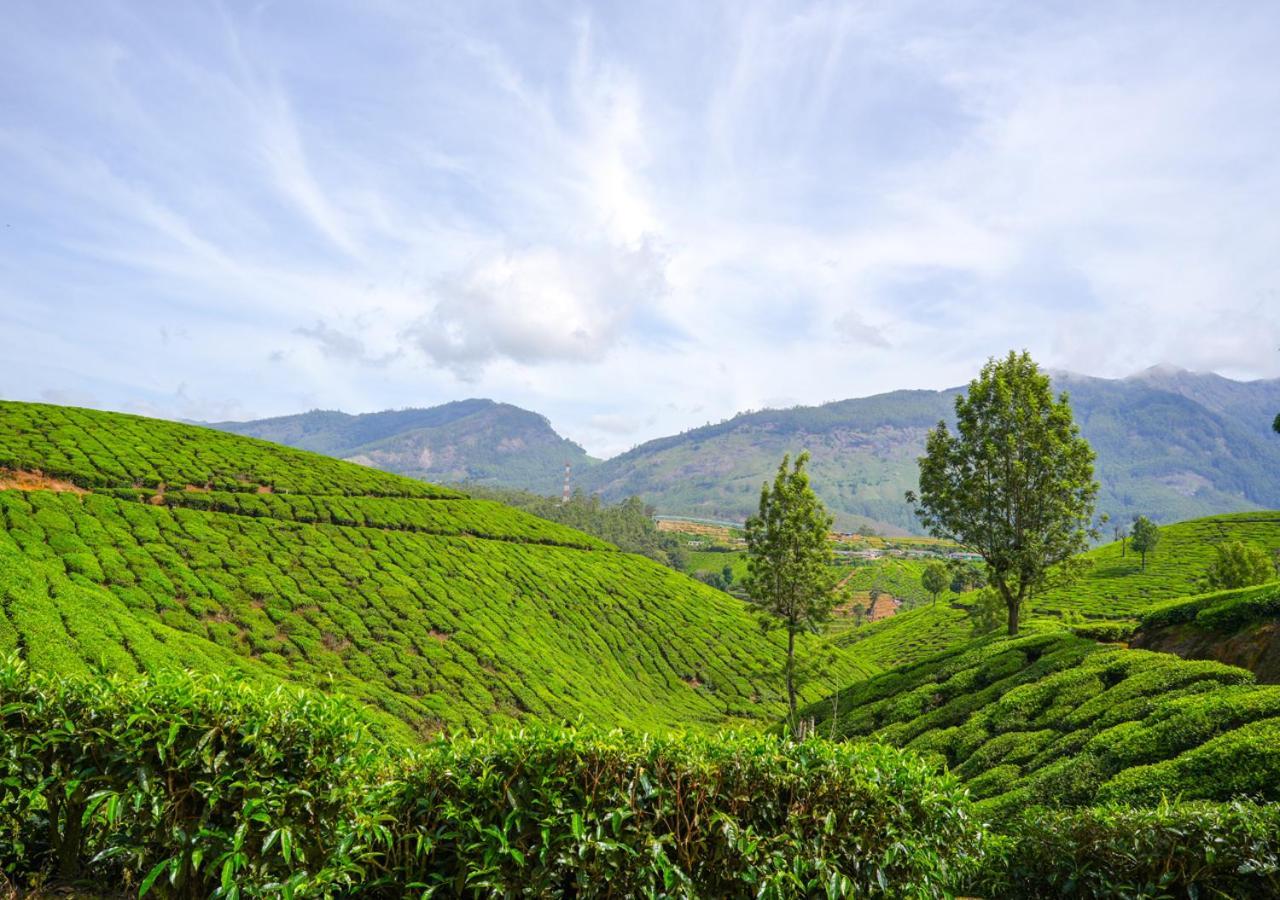 Arivikad Tea Bungalow Munnar By Voye Homes Suryanelli Buitenkant foto